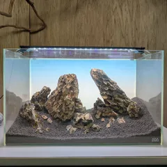 2025年最新】気孔石の人気アイテム - メルカリ