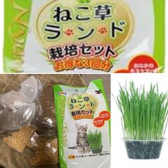 Item thumbnail for item d6b93282-fdef-42d5-ac72-72c36a126d53