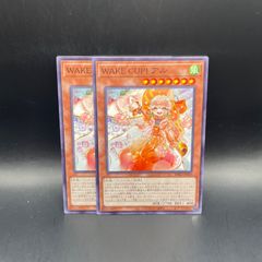 遊戯王 星辰響手プリクル プリズマティックシークレットレア DOOD