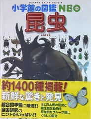 小学館の図鑑NEO 3 昆虫