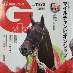匿名!送料無料!競馬、ギャロップ 2025年11月23日