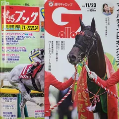 匿名!送料無料!競馬、ギャロップ、ブック 2025年11月23日 2つセット