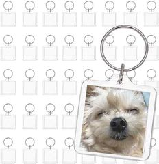 Item thumbnail for item b09f4872-e38b-404a-8a08-1c84545e5e75