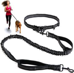 Item thumbnail for item 1179ed23-8970-475c-b420-ccad307e6ab2