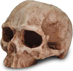 Item thumbnail for item 2b49ccbc-18f1-44bb-9ab0-9ca22967f1b1