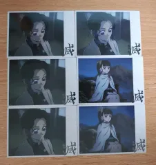 鬼滅の刃 コレクティングカード しのぶ&カナヲset 出品