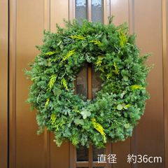 ふわふわ6種類のコニファーリース ヒムロスギ ブルーバード 針葉樹