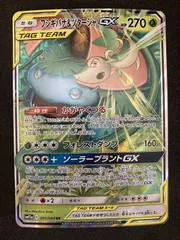 ﾎﾟｹﾓﾝｶｰﾄﾞ ﾌｼｷﾞﾊﾞﾅ&ﾂﾀｰｼﾞｬGX【RR(ﾀﾞﾌﾞﾙﾚｱ)】【中古状態：AB】