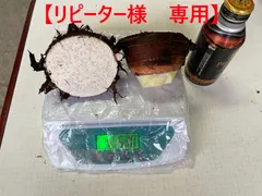 【リピーター様専用】タロイモ　タロ芋　4.5K～５Ｋ 　【１１月末発送】芋头  親芋のみ　　mother taro
