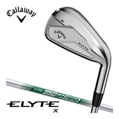 2026年最新】スチールヘッド X-16 アイアンの人気アイテム - メルカリ