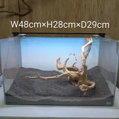 2025年最新】ホーンウッド adaの人気アイテム - メルカリ