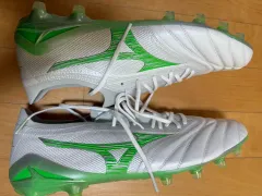 2025年最新】モレリアネオ3の人気アイテム - メルカリ