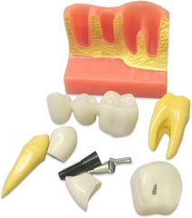 Item thumbnail for item 53c75e11-b99f-46d8-bc08-7a3be194b9d7