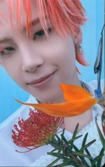 JO1 初回限定盤A 川尻蓮 BE CLASSIC セルカ