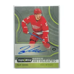 UPPER DECK NHLカード SYNERGY FILIP ZADINA RED WINGS #A-FZ 送料無料 中古 IT2