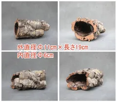 2025年最新】コルク樹皮 キャノンの人気アイテム - メルカリ