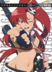 天元突破グレンラガン ヨーコ 1/5 Amazon.co.jp: 天元突破グレンラガン ヨーコ (1/5スケールPVC塗装済み