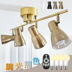 Item thumbnail for item 8c07d003-d19b-4455-a4e2-caa798bc31d3