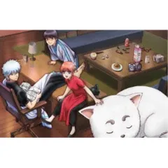 DVD / TVアニメ / 銀魂゜ 01 (通常版)