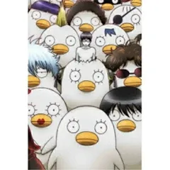 DVD / TVアニメ / 銀魂' 09 (通常版)