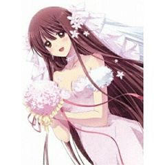 citrus サブロウタ 特典 ウェディングタペストリー | Mercari