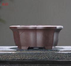多肉植物鉢 紫砂鉢 盆栽鉢 植木鉢 小品盆栽鉢 大品盆栽鉢 - メルカリ