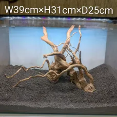 ＡＤＡ Do!aqua ブランチ Child-Safe Water Cooler | Atlantis One| Hot, Normal & Cold Water