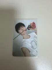 SEVENTEEN ホシ CARAT盤 トレカ