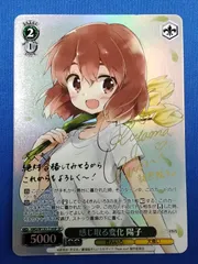 2026年最新】ヴァイス 知性派ハイカラ娘 秋月律子の人気アイテム