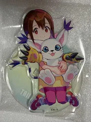 e❌デジモンアドベンチャー❌　八神ヒカリ　&　テイルモン　アクリルスタンド