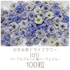 (01)かすみ草ドライフラワー100粒