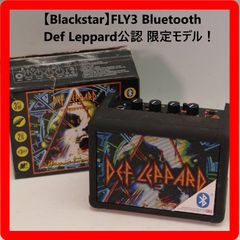 【動作確認済み】FLY3 Bluetooth 小型ギターアンプ ミニアンプ スピーカー Def Leppard公認 限定モデル ブラックスター 304f30