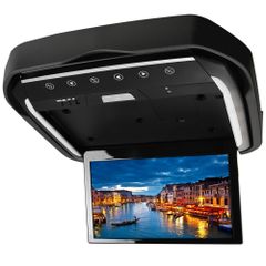 Item thumbnail for item 960b677b-3e02-4a0a-b6ab-d52bfd039071