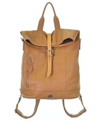 Item thumbnail for item 06f5af9d-0978-46ec-85ae-bc7c9d3aac01