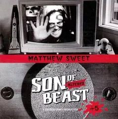 2025年最新】Matthew Sweet マシュースウィートの人気アイテム - メルカリ