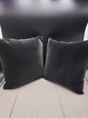 アルフレックス　クッション2個セット nood_c_6584fe21-6206-4c07-b07a