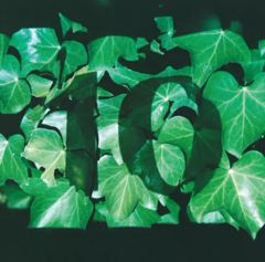 [중고] 일본 음악 CD 그만큼 나츠야스미 밴드 / 영상