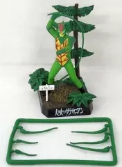 2025年最新】サラセニアンの人気アイテム - メルカリ