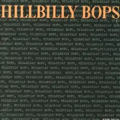 2026年最新】hillbilly bopsの人気アイテム - メルカリ