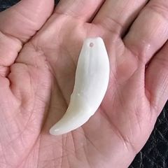 レア！オニカマス（バラクーダ）頭骨 - メルカリ