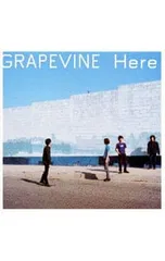 2025年最新】grapevine hereの人気アイテム - メルカリ