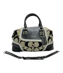 コーチ ハンドバッグ ショルダーバッグ 2WAY 肩掛け レザー シグネチャー F17447 レディース COACH