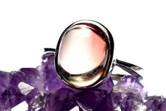 Item thumbnail for item 8013469e-5bbe-459d-bfc6-512a78fda8e7