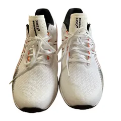 Z1601asics アシックス ランニングシューズ LYTERACER 5  26.5cm