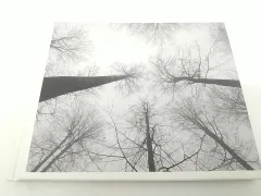 2025年最新】黒夢 DAY1の人気アイテム - メルカリ