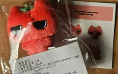 BOYNEXTDOOR テサン トレカ ぬいぐるみ まとめ売り BOYNEXTDOOR