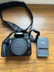 Item thumbnail for item 43a060b7-daa1-4bd1-9a9d-e509c14b294f