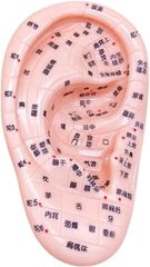 Item thumbnail for item aaa7ef83-3c3b-4781-a253-3eb8f4f11223