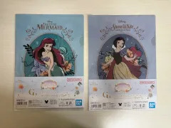 ディズニー プリンセス 一番くじ Dream in color G賞 クリアファイル