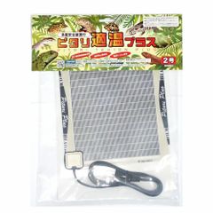 Item thumbnail for item 607837d0-1a0b-4e4e-b4bf-d3ce1c7bcd37